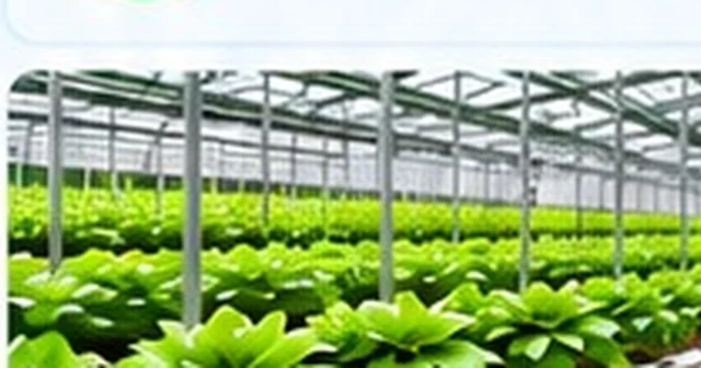 Agriculture industry packaging applications